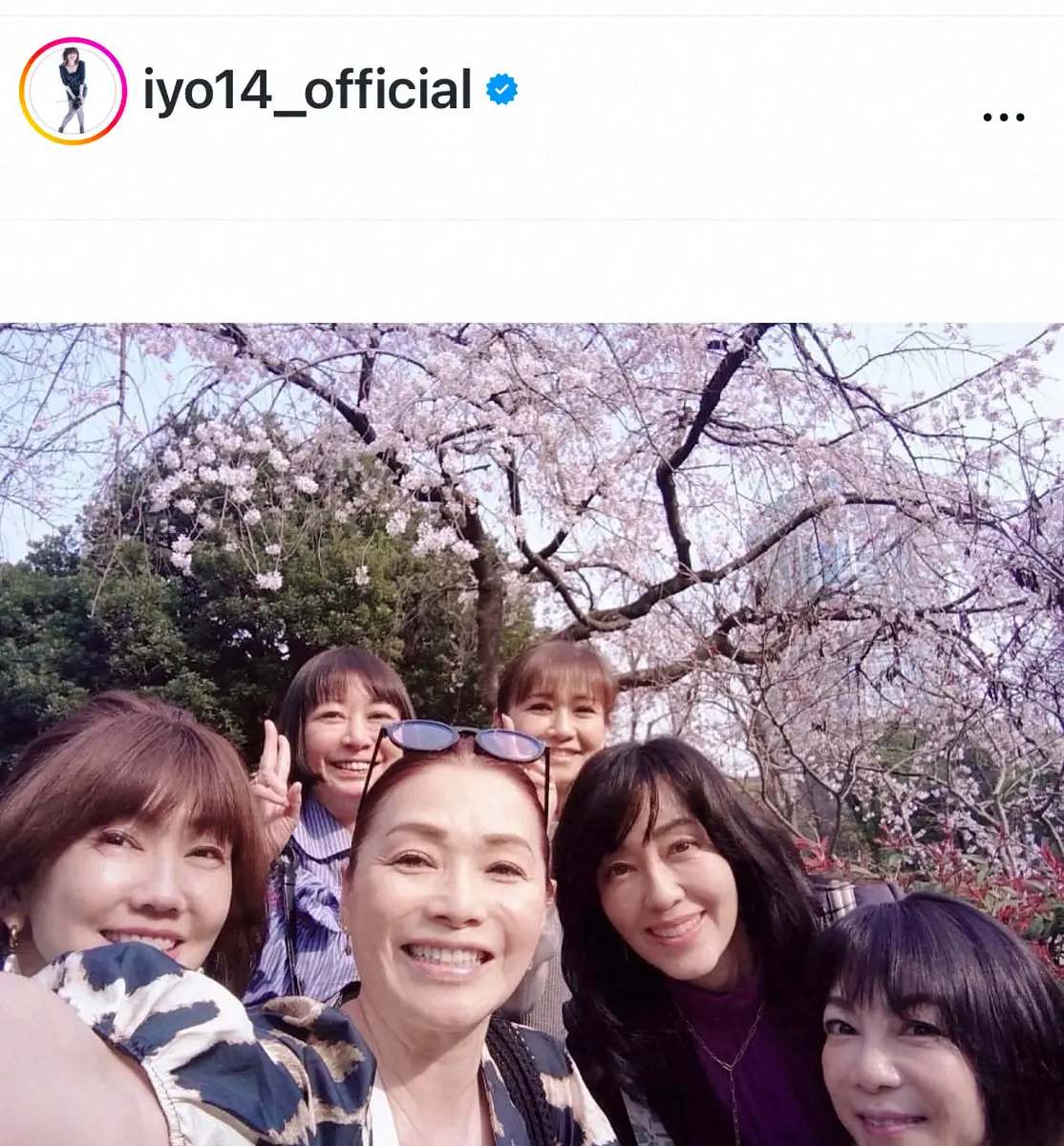 【画像・写真】松本伊代　“花の82年組”「お花見ランチ」報告　東京タワーの下での集合ショットに反響