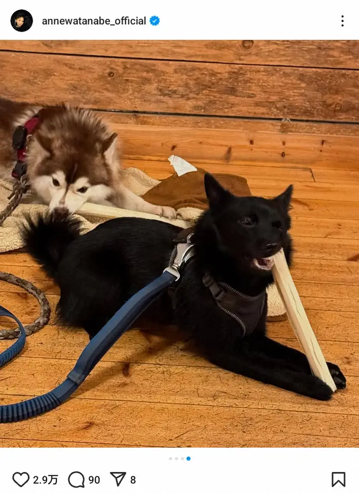 【画像・写真】フィンランドへ移住した杏　“家族”のご機嫌ショットに「楽しそうでなにより」「一緒で良かった」の声