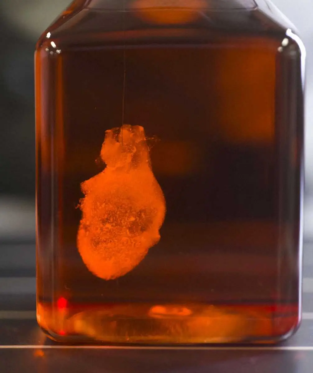 【画像・写真】お勧めパビリオンは肉体未来予想図＆iPS心臓　13日開幕、大阪・関西万博