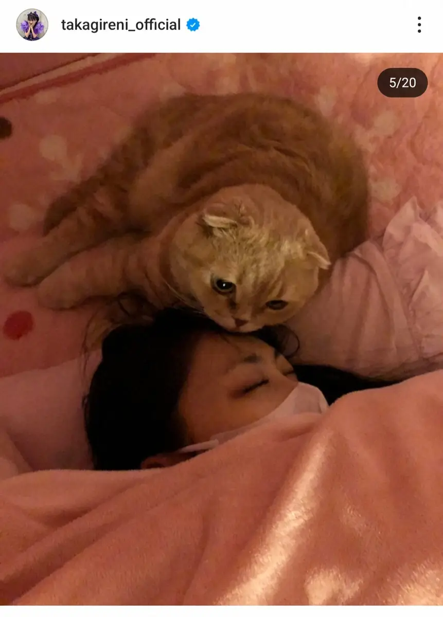 【画像・写真】ももクロ・高城れに　愛猫の死を報告「ぜっちゃんは一生うちの宝物です」