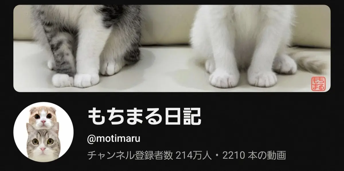 【画像・写真】人気ペット系YouTuberの休止報告　「猫を最優先に考えて」心配する声や厳しい指摘も