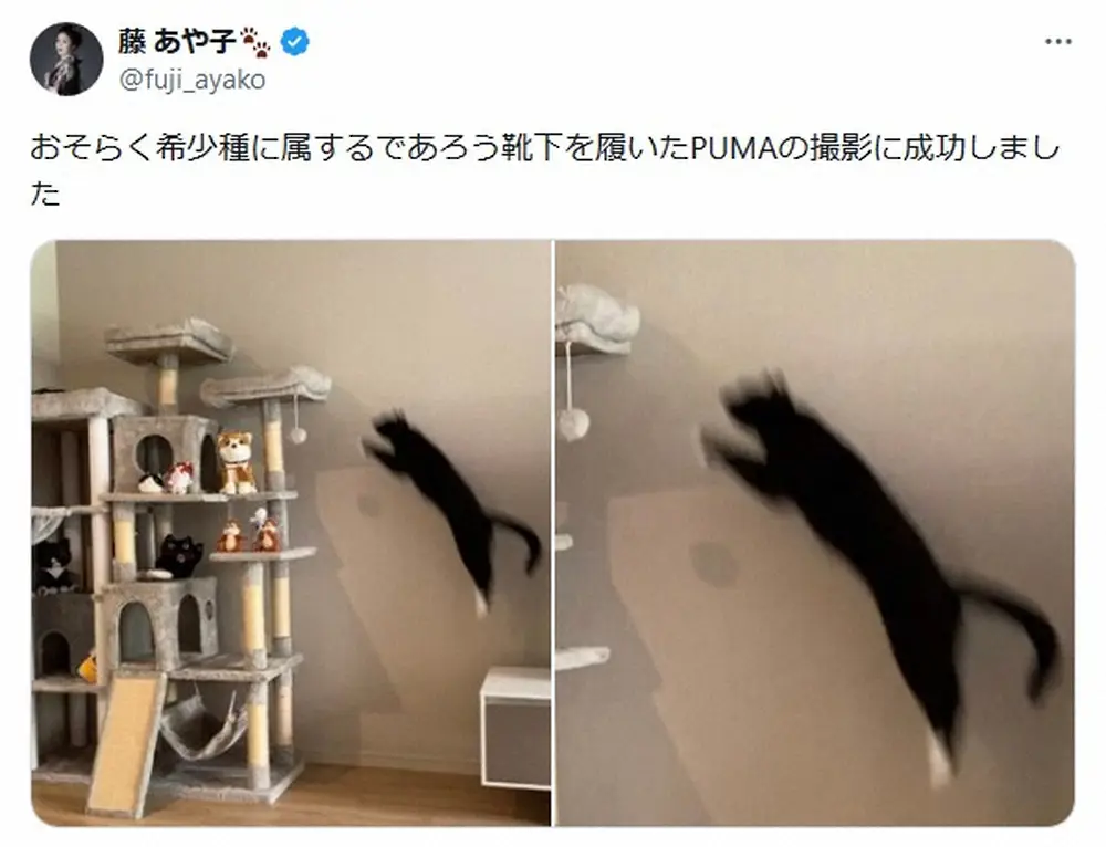 【画像・写真】藤あや子が有名ロゴマークの撮影に成功！？レアショットに「躍動感ある」「Tシャツにして」の声