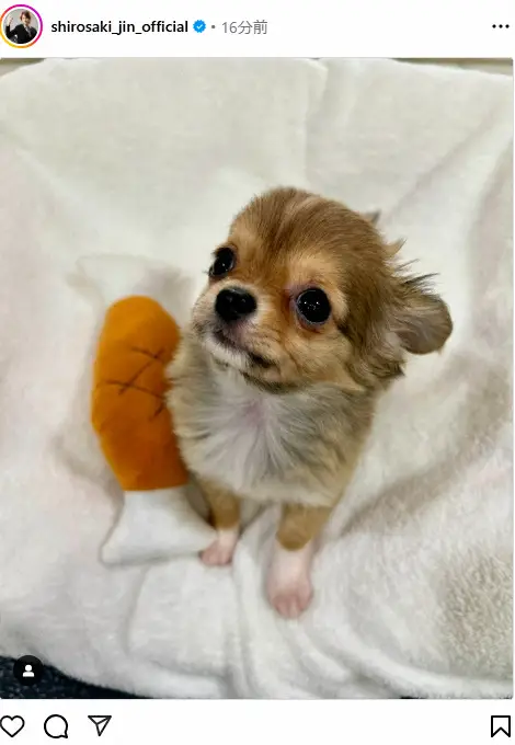 【画像・写真】47歳元カリスマホスト「新しい家族が増えました」　妻は11歳年下タレント