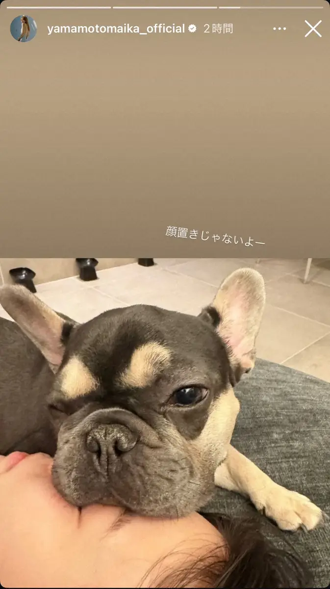 【画像・写真】山本舞香　愛犬と一緒に寝る“無防備ショット”公開　幸せな一コマに「ねえ。笑　顔置きじゃないよー」