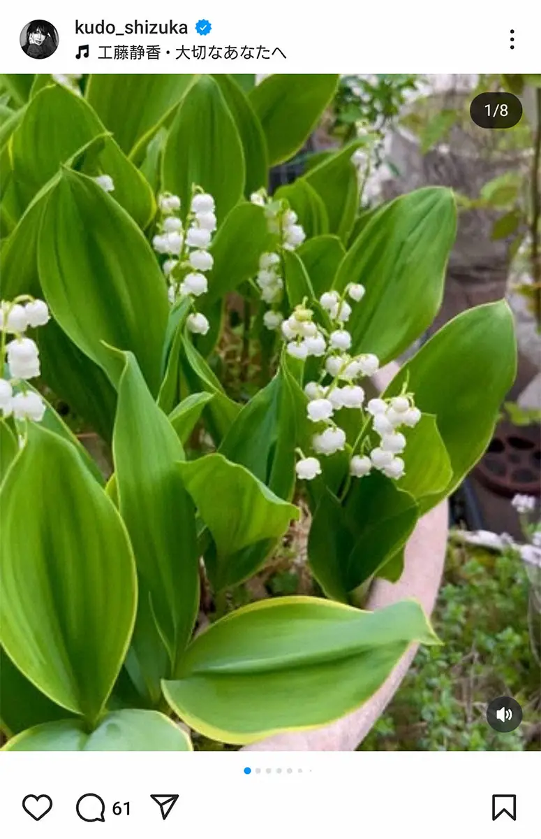 【画像・写真】工藤静香公式インスタグラム(@kudo_shizuka)から