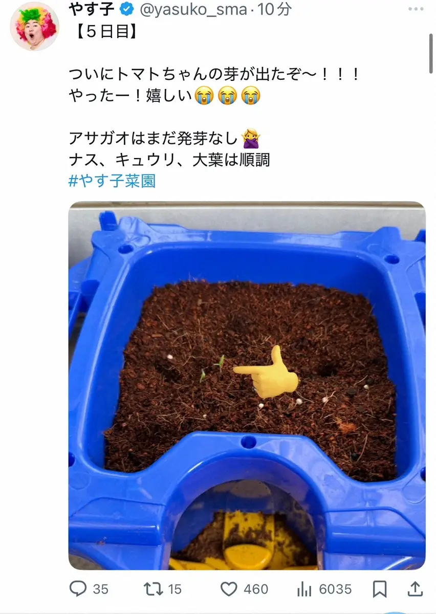 【画像・写真】やす子　最近始めた家庭菜園「ついに…」　進捗状況報告に「おめでとう」「沼にハマりましたね」の声