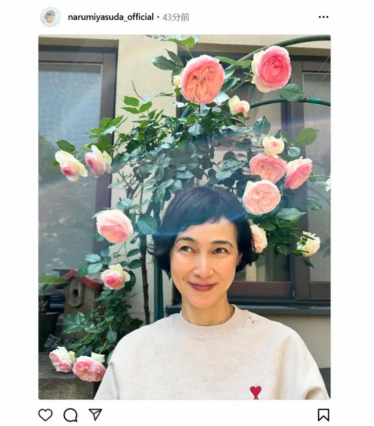 【画像・写真】安田成美、バラの栽培成功を報告「去年は1つしか咲かなかったのに今年は沢山」最新Sに「すごい」の声