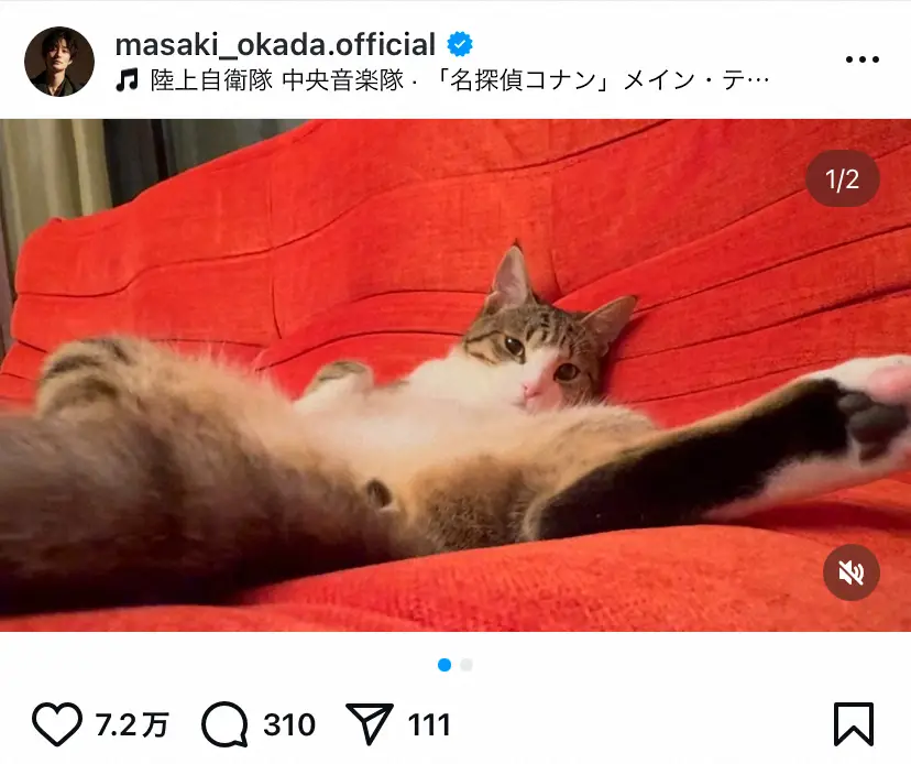 【画像・写真】岡田将生　「うちの子」初公開！“ボサ髪”ショットにファン爆笑「かわいい」「ボサボサにも程がある」