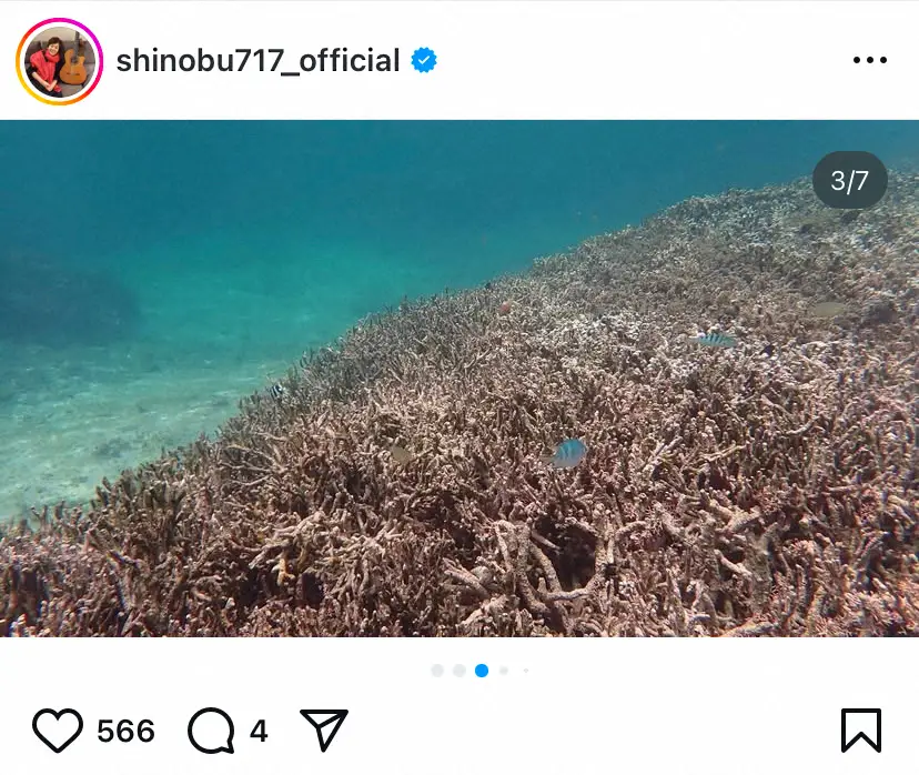 【画像・写真】大竹しのぶ　長女・IMALUが住む奄美大島へ！ウミガメツアー＆自然を大満喫「なんて素敵なんだ」