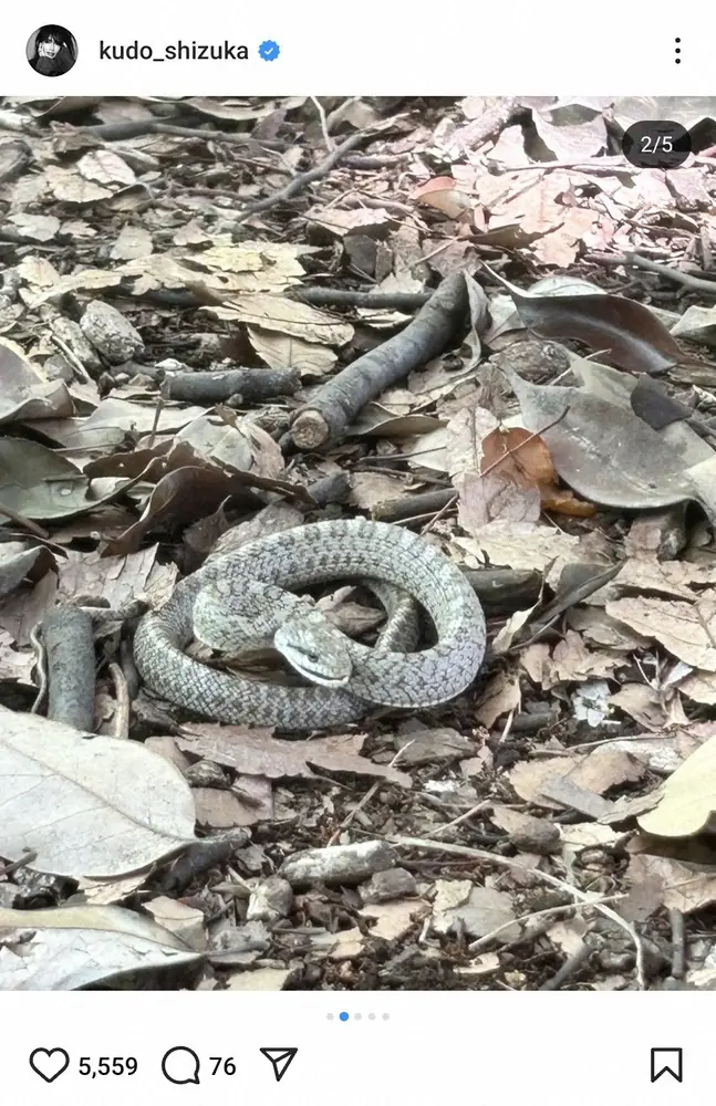 【画像・写真】工藤静香　夫・木村拓哉と散歩満喫！？同じ写真投稿に「夫婦仲良くお散歩いいですね」「楽しんで」の声