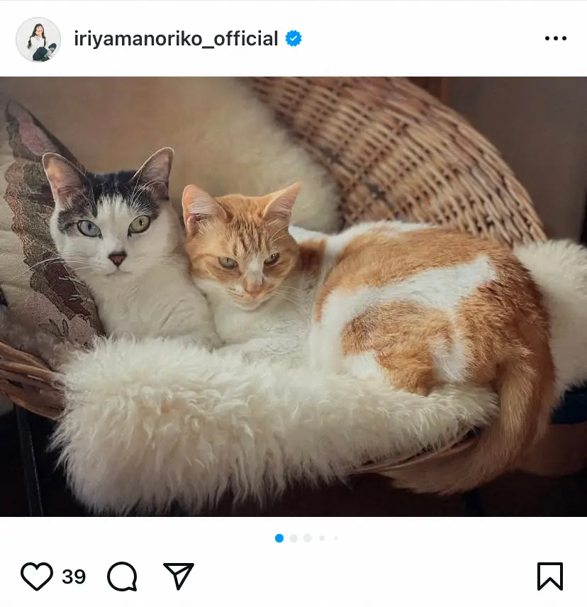 【画像・写真】入山法子　オッドアイの愛猫との自撮り2ショ披露　3歳の誕生日も祝福「毎日100点で微笑ましいです」