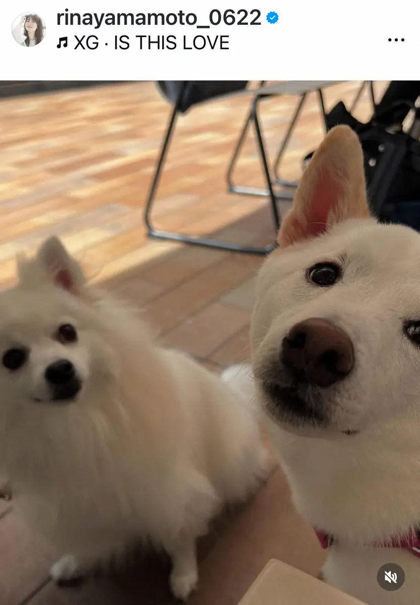 【画像・写真】30歳フリーアナ　人気タレントとの“女子会”Sに反響「仲良しなの知らなかった」「カワイイが渋滞」