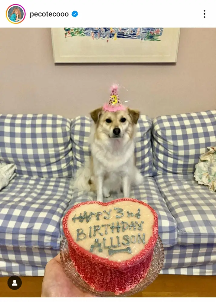 【画像・写真】peco　「息子の妹」愛犬の3歳の誕生日祝福「アリソンの存在にどれだけ救われているか」