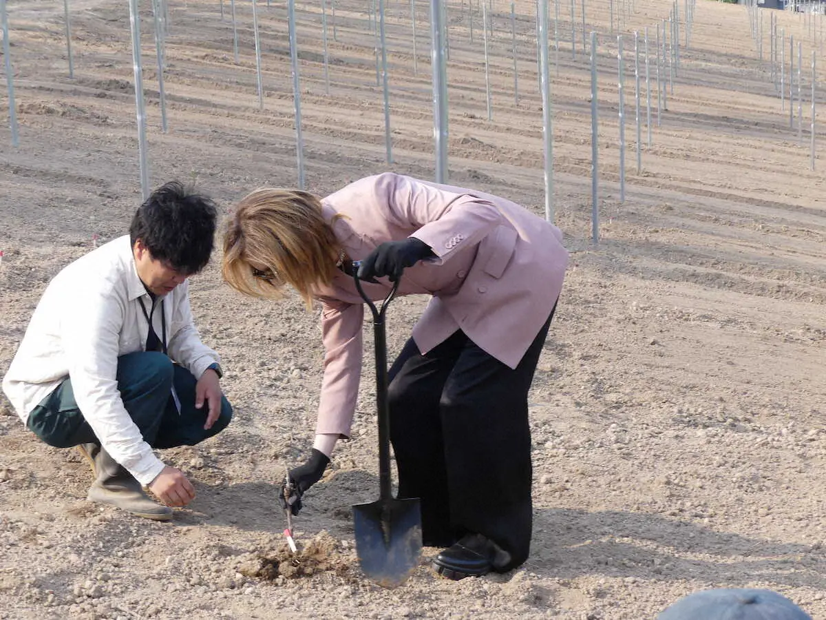 【画像・写真】自身の畑でブドウの鍬入れと苗入れを行ったYOSHIKI