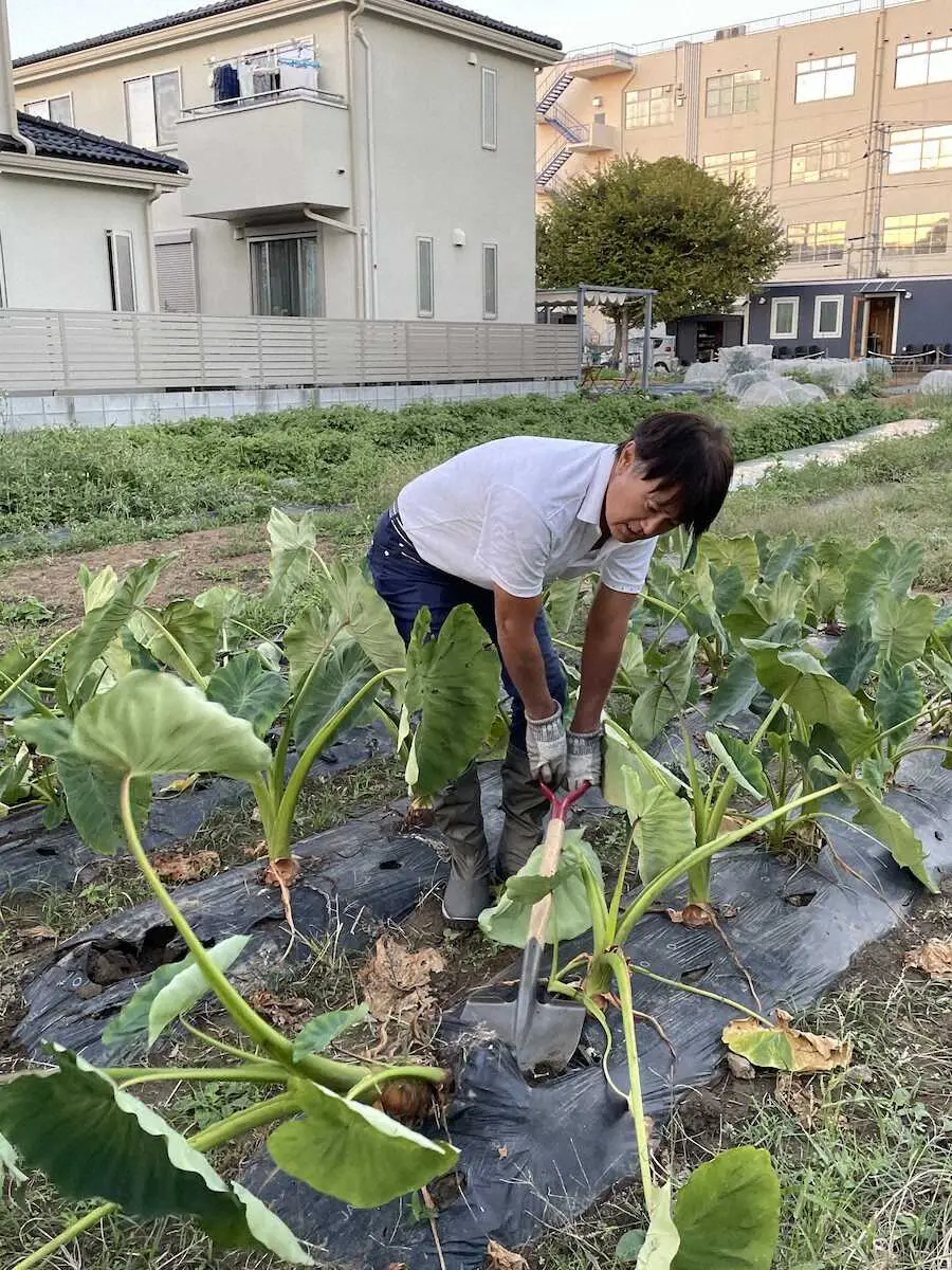 【画像・写真】野菜作りをする石黒賢　（本人提供）