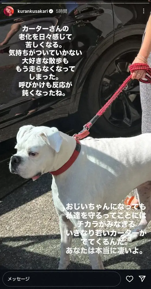 【画像・写真】紅蘭　愛犬“カーター”の体調に心痛「気持ちがついていかない」　今年2月に9歳の誕生日を祝福