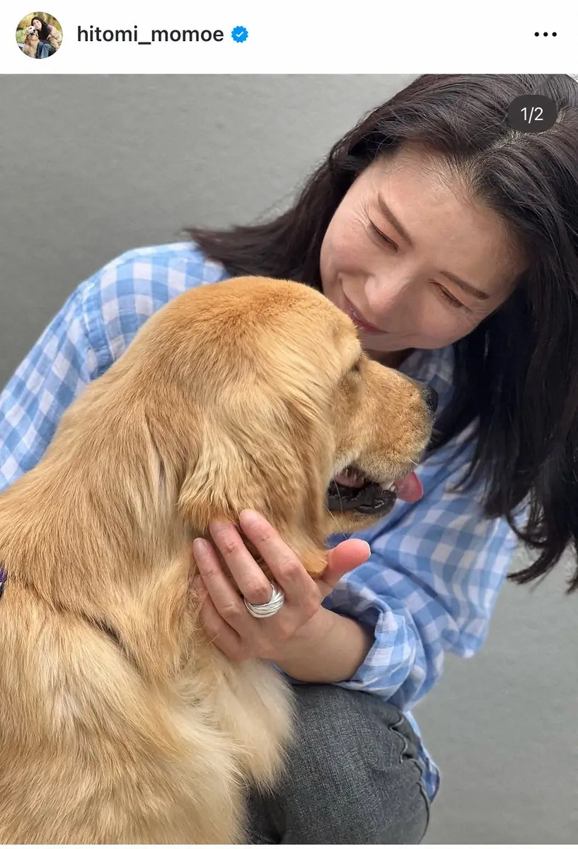 【画像・写真】高橋ひとみ　8カ月パピーのお迎え報告　幸せショットに人気女優も反応「わぁー可愛いすぎる」