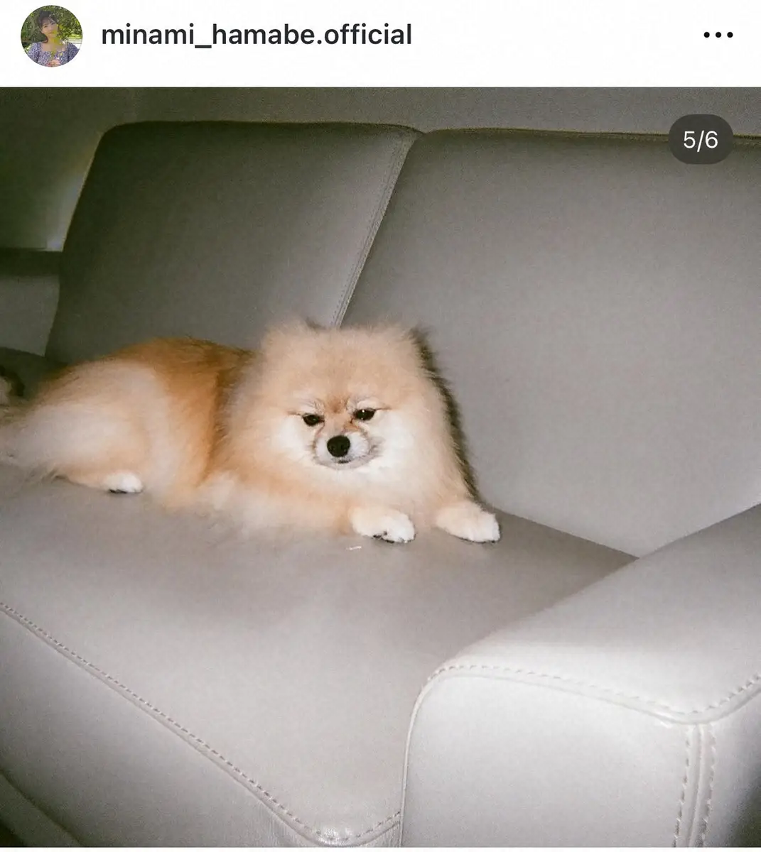 【画像・写真】浜辺美波　約4カ月ぶりの投稿で振り袖姿披露　祖母が選んだ着物に「なんちゅう美しさ」「色味素敵」の声