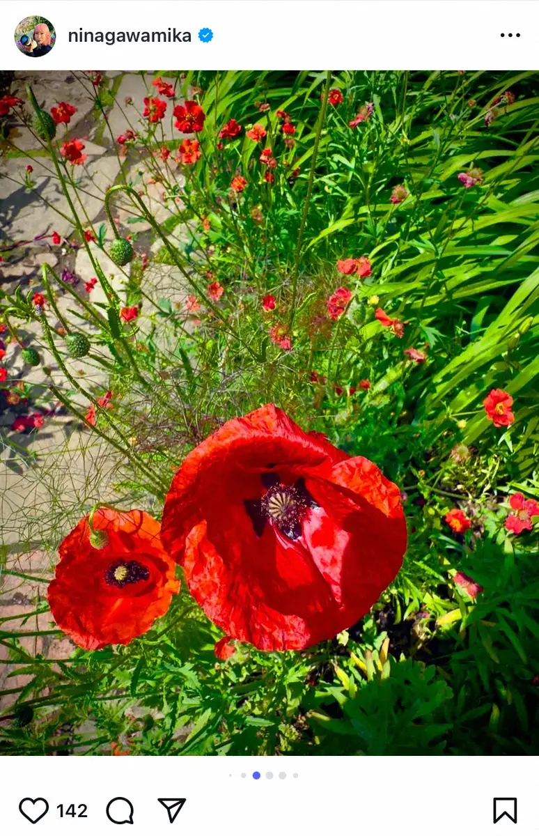 【画像・写真】蜷川実花さん　英国庭園の「計算された美しさ」に感動　最新ショットも公開「訪れることができて幸せ」