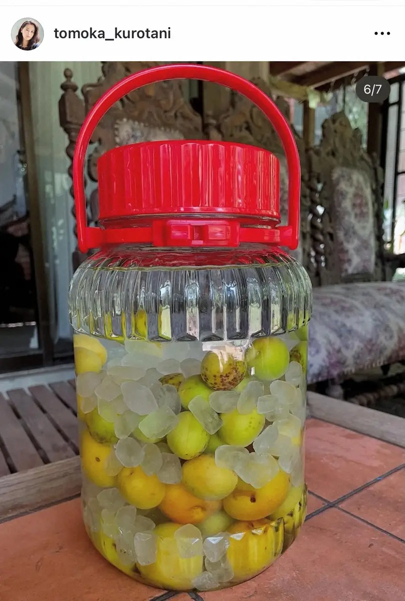 【画像・写真】黒谷友香　自家製梅酒に初挑戦「どうなることやら」　ガーデニング歴25年“自然ライフ”に反響