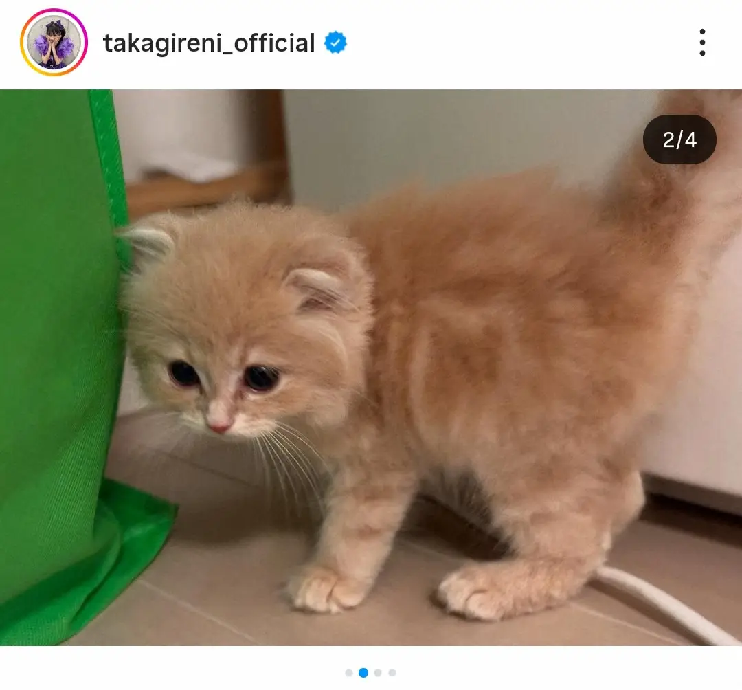 【画像・写真】ももクロ・高城れに「新しい家族ができました」　両親からサプライズ「名前はZZくんです」