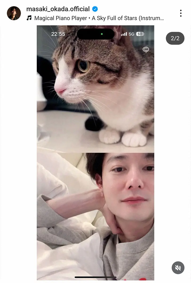 【画像・写真】岡田将生　愛猫との2ショット披露　妻の高畑充希も猫好き　ファン「可愛すぎる」の声