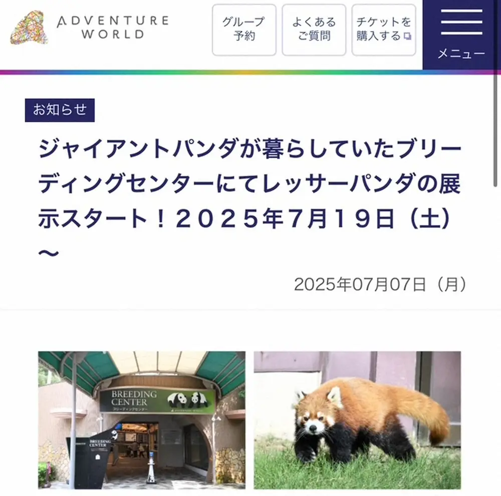 【画像・写真】“浜家ロス”に救世主？アドベンチャーワールド、パンダ施設改装し「レッサーパンダ」展示　17日から
