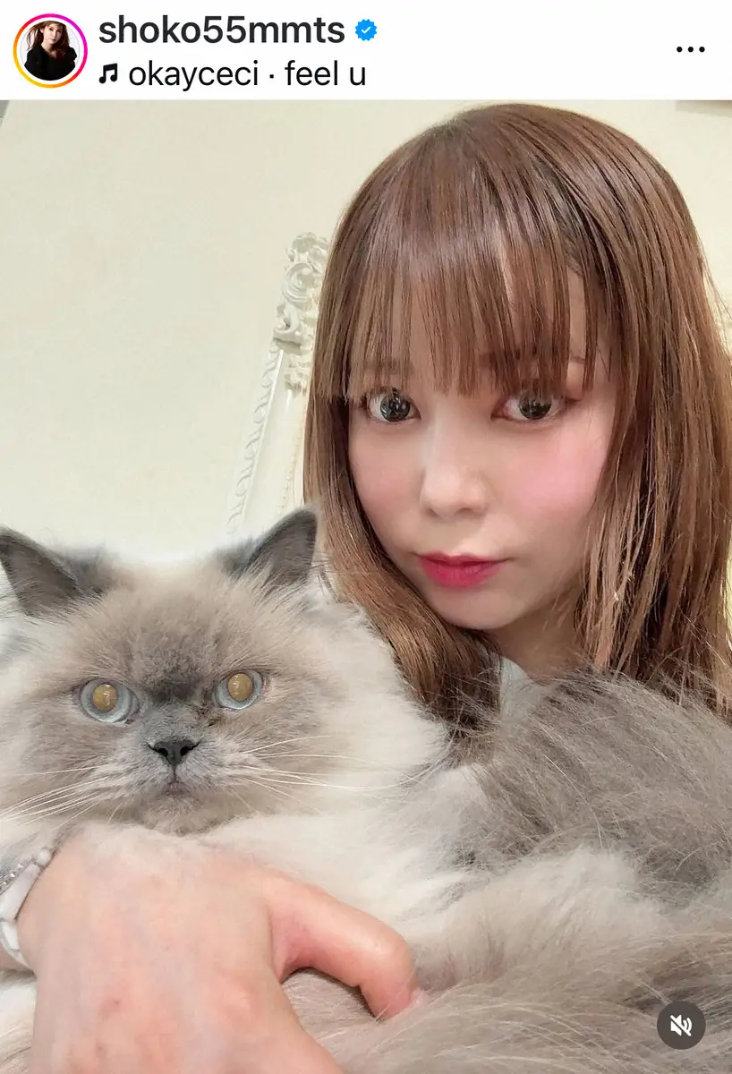 【画像・写真】中川翔子　「自分にご褒美」ずっと欲しかったものを購入「これだけは死守したい」　現在妊娠中の近況も