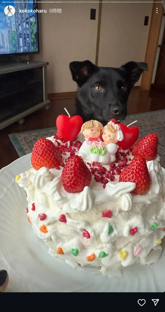 【画像・写真】5月に結婚発表したダンサー菅原小春　夫・黒田大輔とのラブラブ2ショ公開　ウエディングケーキで祝福