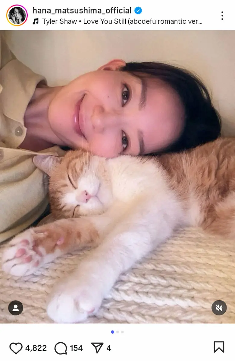 【画像・写真】松島花　熟睡する愛猫と癒やし時間、嫌がるお手入れも「成功」、ファンもん絶「ほっこり」「最高の時間」