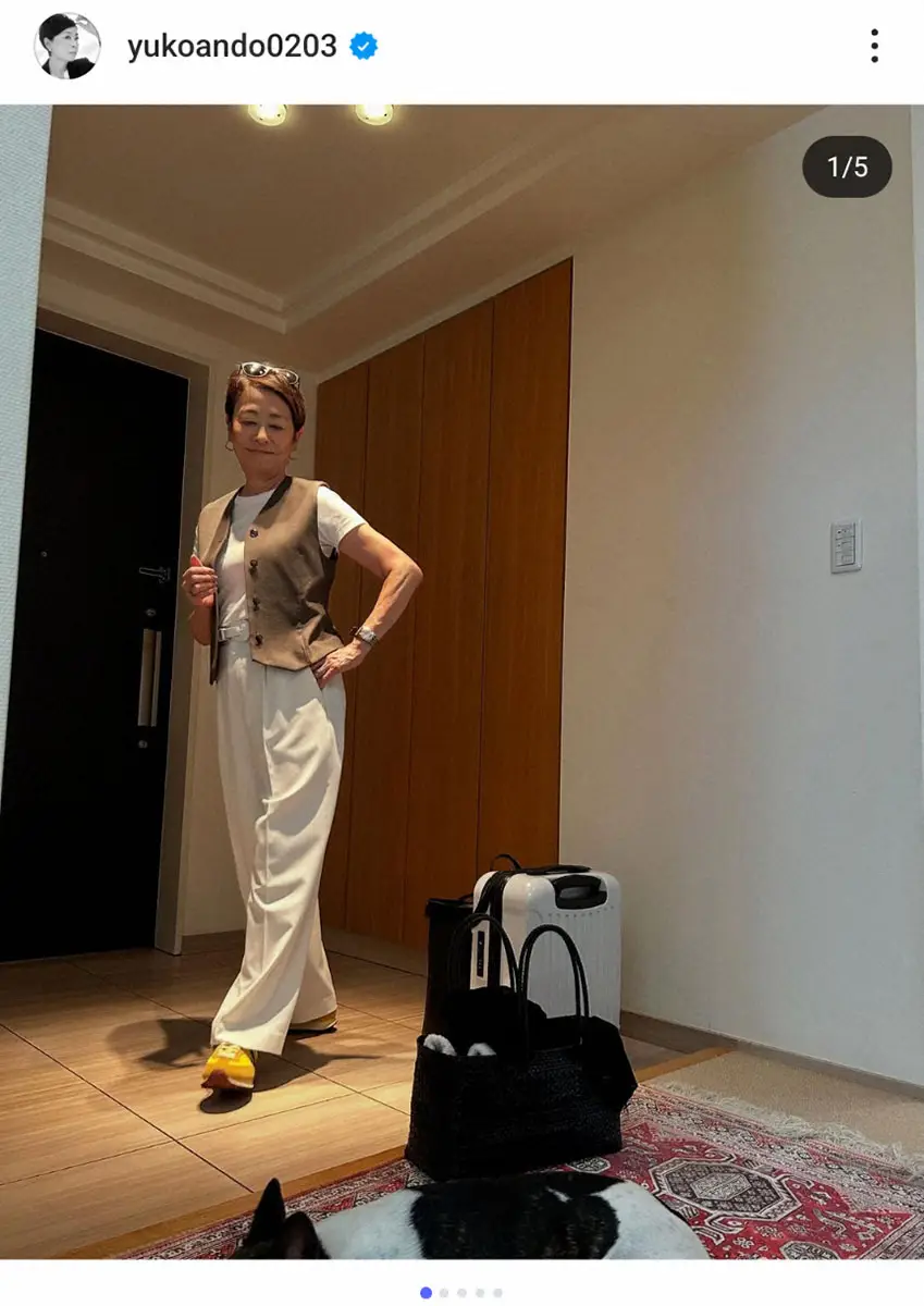 【画像・写真】安藤優子氏「回復の決め手は適切な輸液治療」　愛犬のフレンチブルドッグが体調不良から「V字回復」と報告