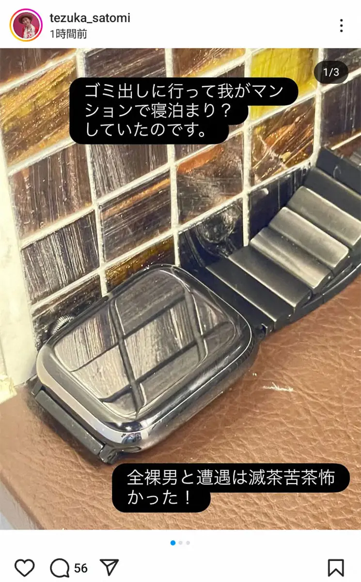 【画像・写真】手塚理美　自宅マンションで「全裸男」と遭遇の恐怖明かす「警察に知らせたけど何もしてくれない」と不安も