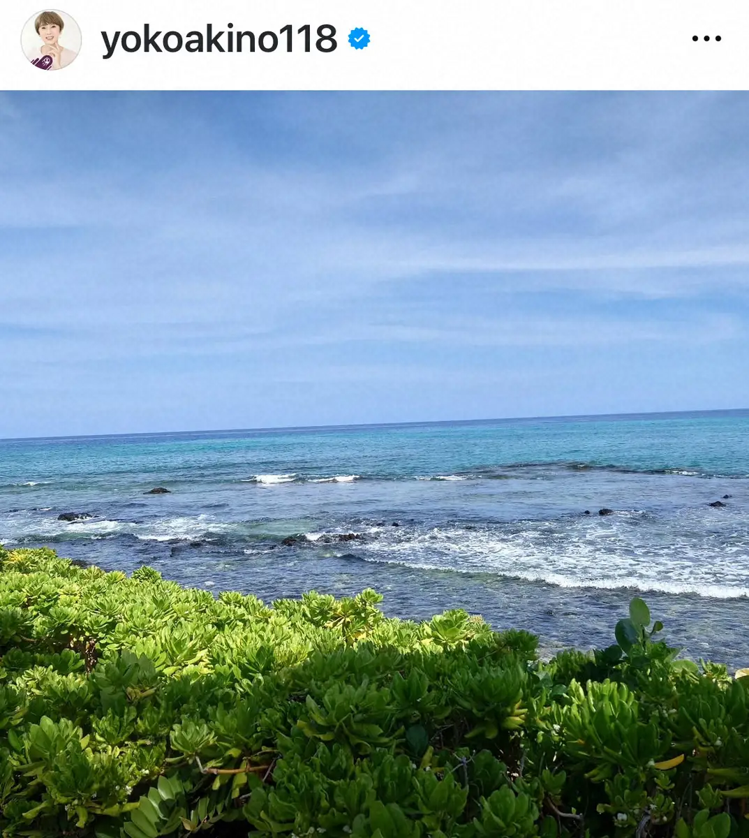 【画像・写真】秋野暢子「津波の怖さを思い知りました」　滞在先のハワイで避難　現在は「昨日とは打って変わって…」