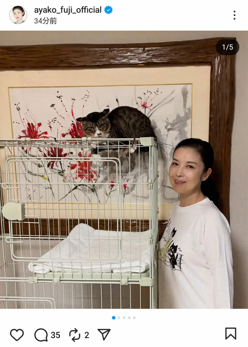 【画像・写真】藤あや子「新しい家族が増えました」と報告　保護した3匹目の愛猫「精一杯の愛情で見守りたい」