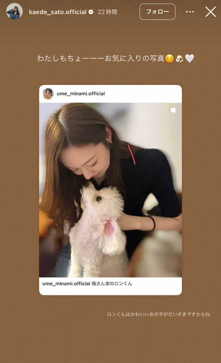 【画像・写真】乃木坂・梅澤美波「膝にきてくれました」　元仲間の愛犬を愛でる様子にファン興奮！「とても可愛い」