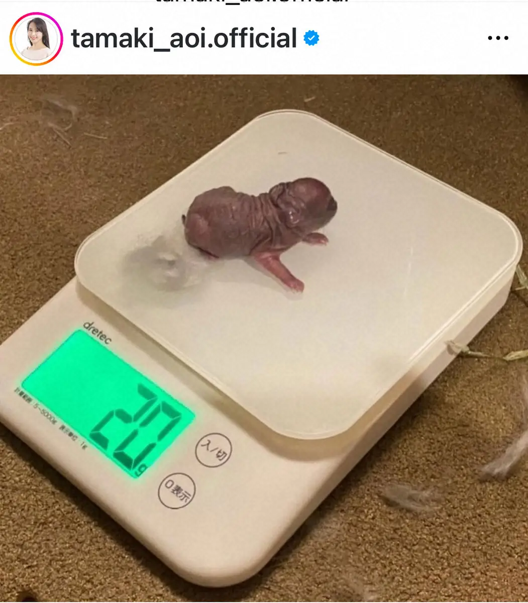 【画像・写真】33歳フリーアナ　愛するペット「ジュニア」との別れ報告「やはり到底受け入れられるものではなく」