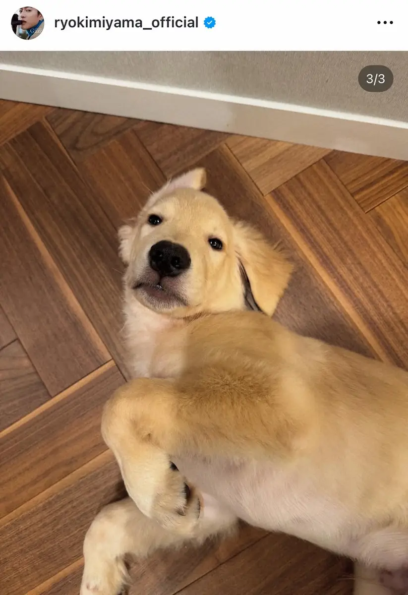 【画像・写真】三山凌輝　趣里との結婚発表後、初のSNS更新　「我が家に新しい家族」として愛犬“もんくん”紹介