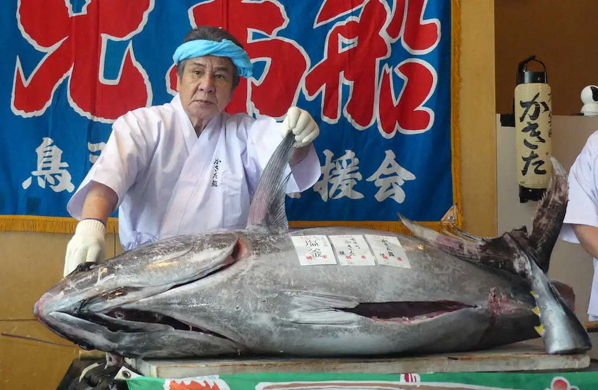【画像・写真】鳥羽一郎がマグロ解体ショー「気持ちよかった」　持ち歌全1070曲サブスク配信開始
