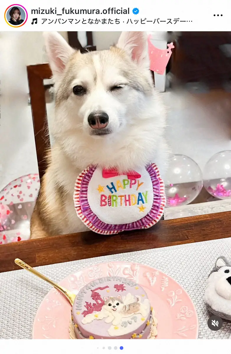 【画像・写真】元モー娘。譜久村聖　愛犬の4歳誕生日に特製ケーキ発注「クオリティすんごーーーーい」の声