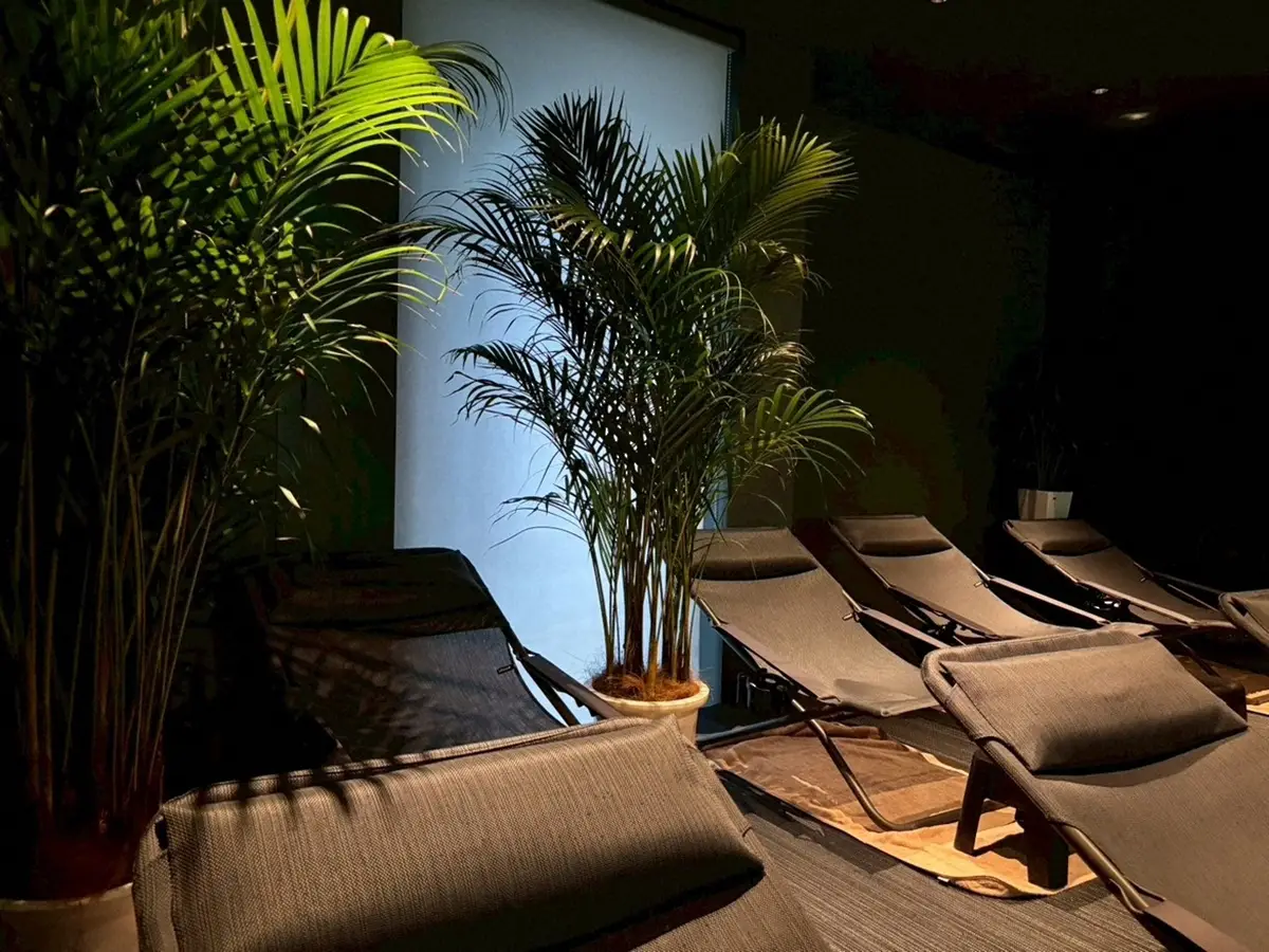 【画像・写真】【スゴイサウナ五反田駅前店】五反田に“癒やしの樹海”待望の新拠点！業界初の“滝汗マシン”で非日常体験