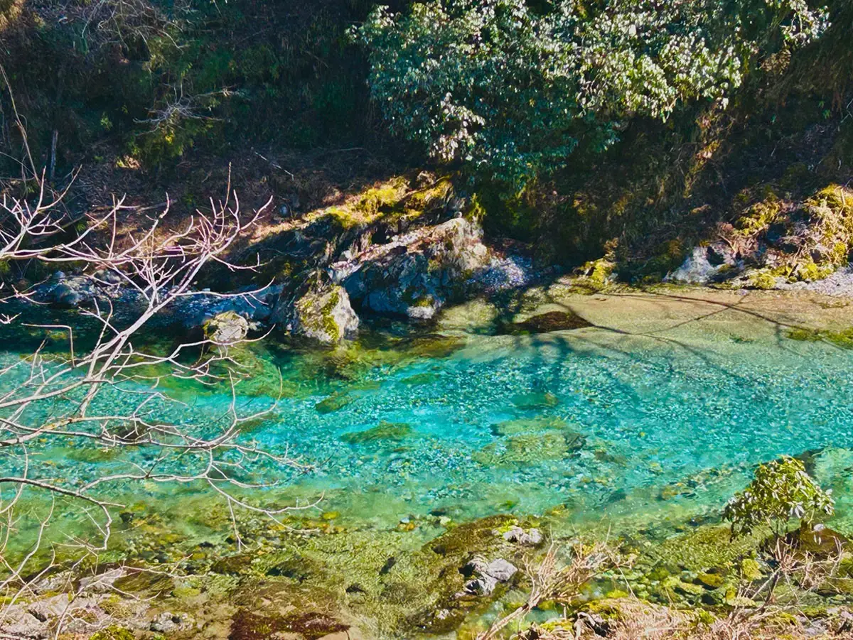 【画像・写真】【Kanzaki Sanga Sauna・トオルちゃん②】岐阜の奇才が描く「100年残る」令和の聖地