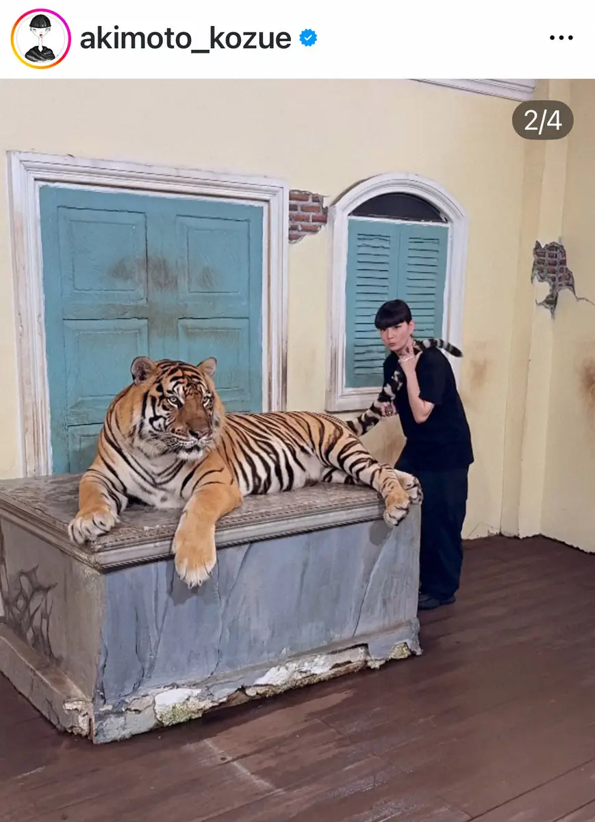 【画像・写真】秋元梢　「He is Real」虎との2Sに驚がく「え！！ホンモノ！？」「凄い」「やば！！」