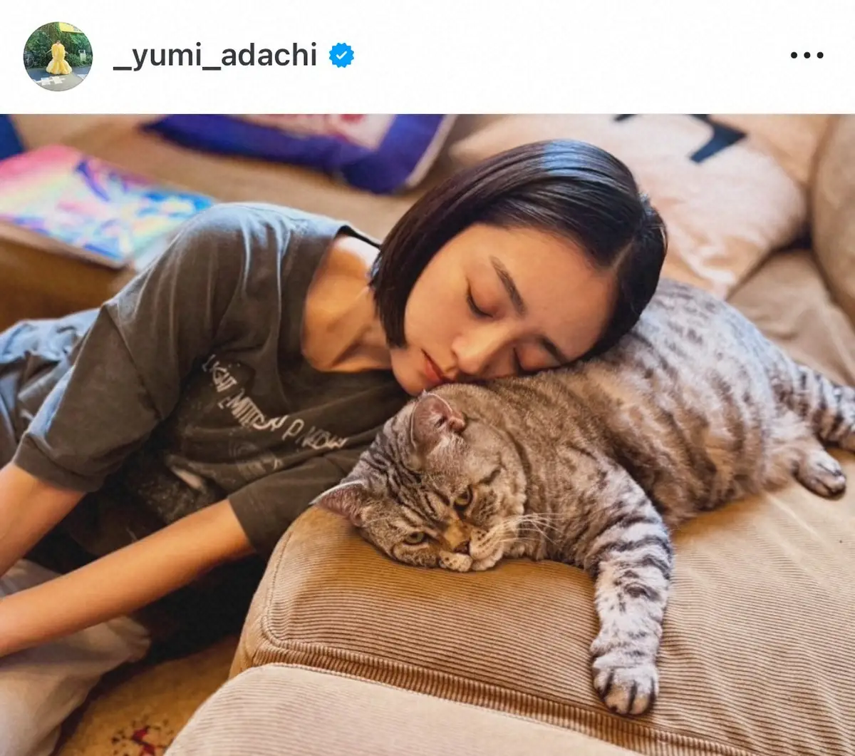 【画像・写真】安達祐実「いつの間にか寝落ち」　愛猫に顔をうずめて眠る無防備ショットに反響「どっちもかわいい」