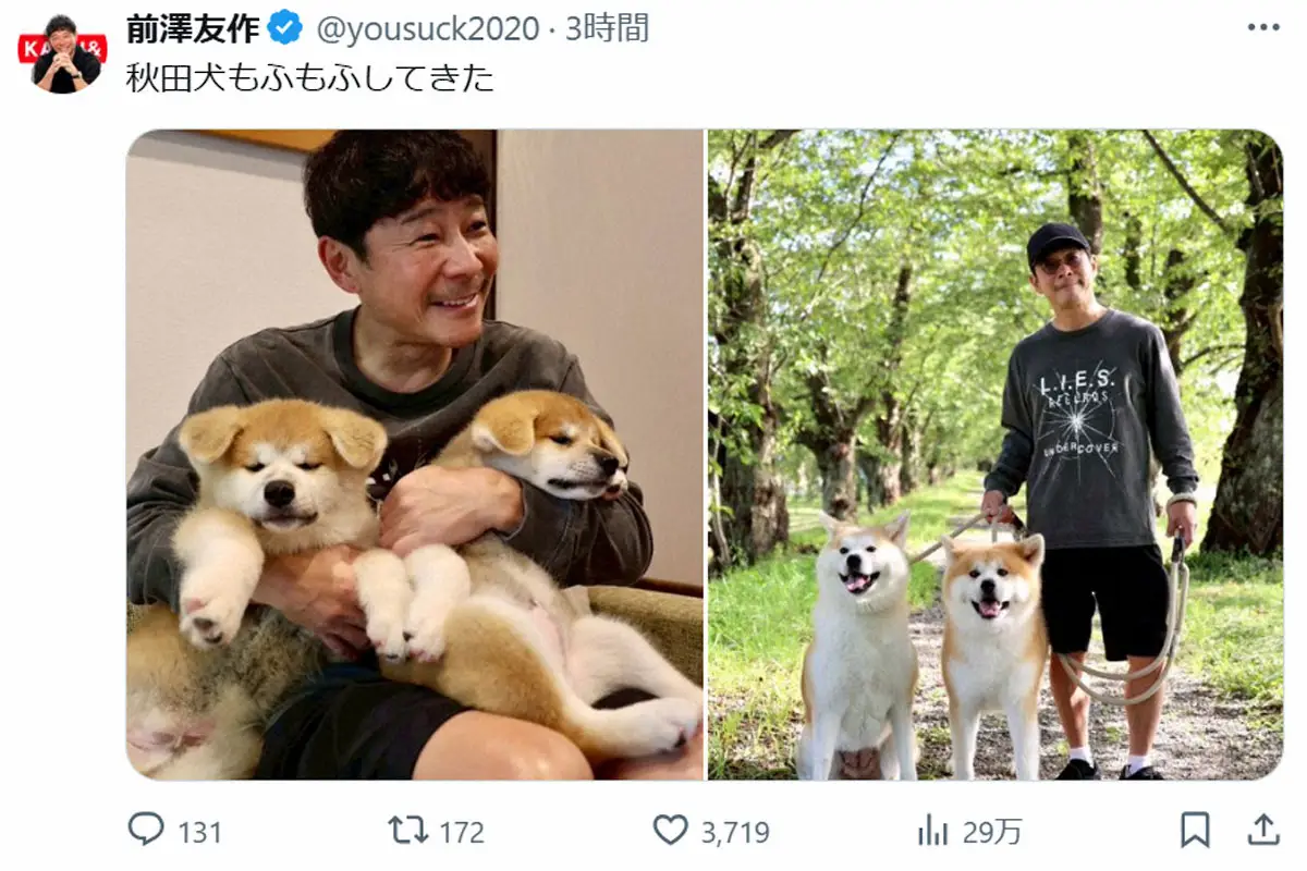 【画像・写真】前澤友作氏　「秋田犬もふもふしてきた」に癒やされる人続出「かわいすぎる」「うらやましい」「最高」