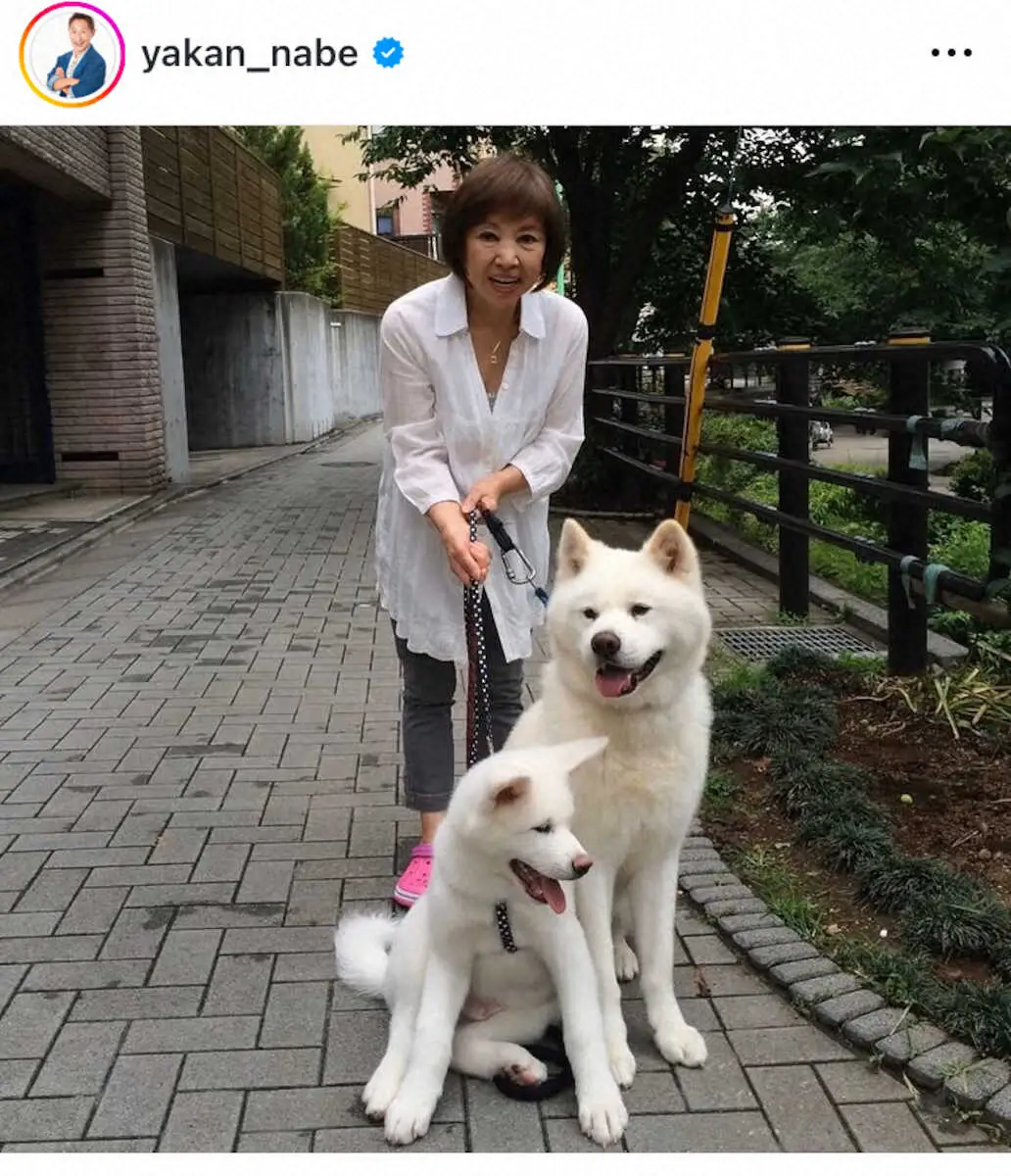 【画像・写真】なべやかん　母の命日にSNSでつづった「勝手に死んでたいな」の優しい考え　病室での思い出も振り返る