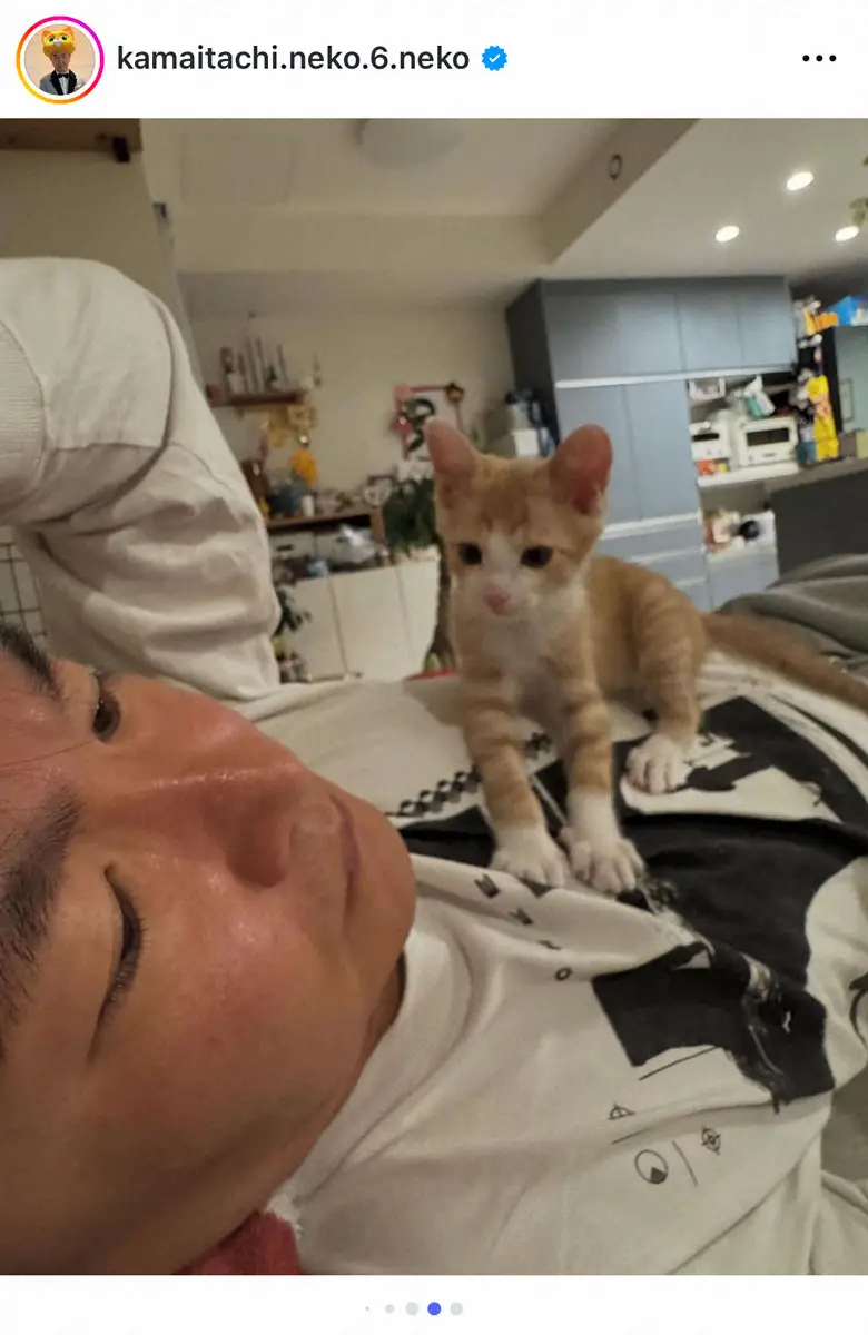 【画像・写真】かまいたち山内　新たに家族を迎え入れ「悩んで悩んで悩んだ末に、4兄妹がやって来ました！」