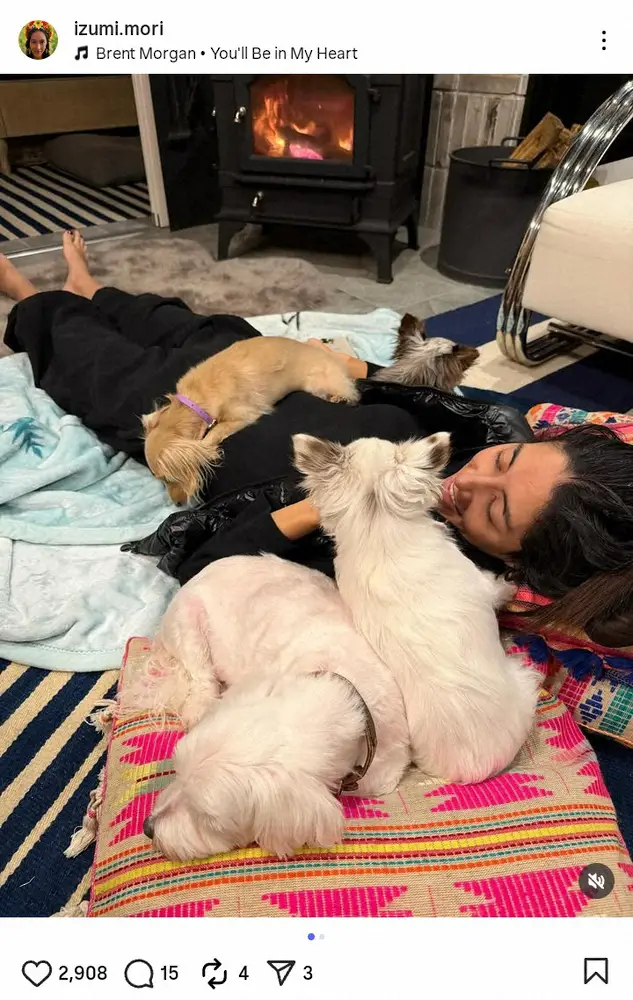 【画像・写真】森泉　暖炉の前で愛犬に囲まれウトウト…もふもふショットにファン「幸せですね」「サイコー」