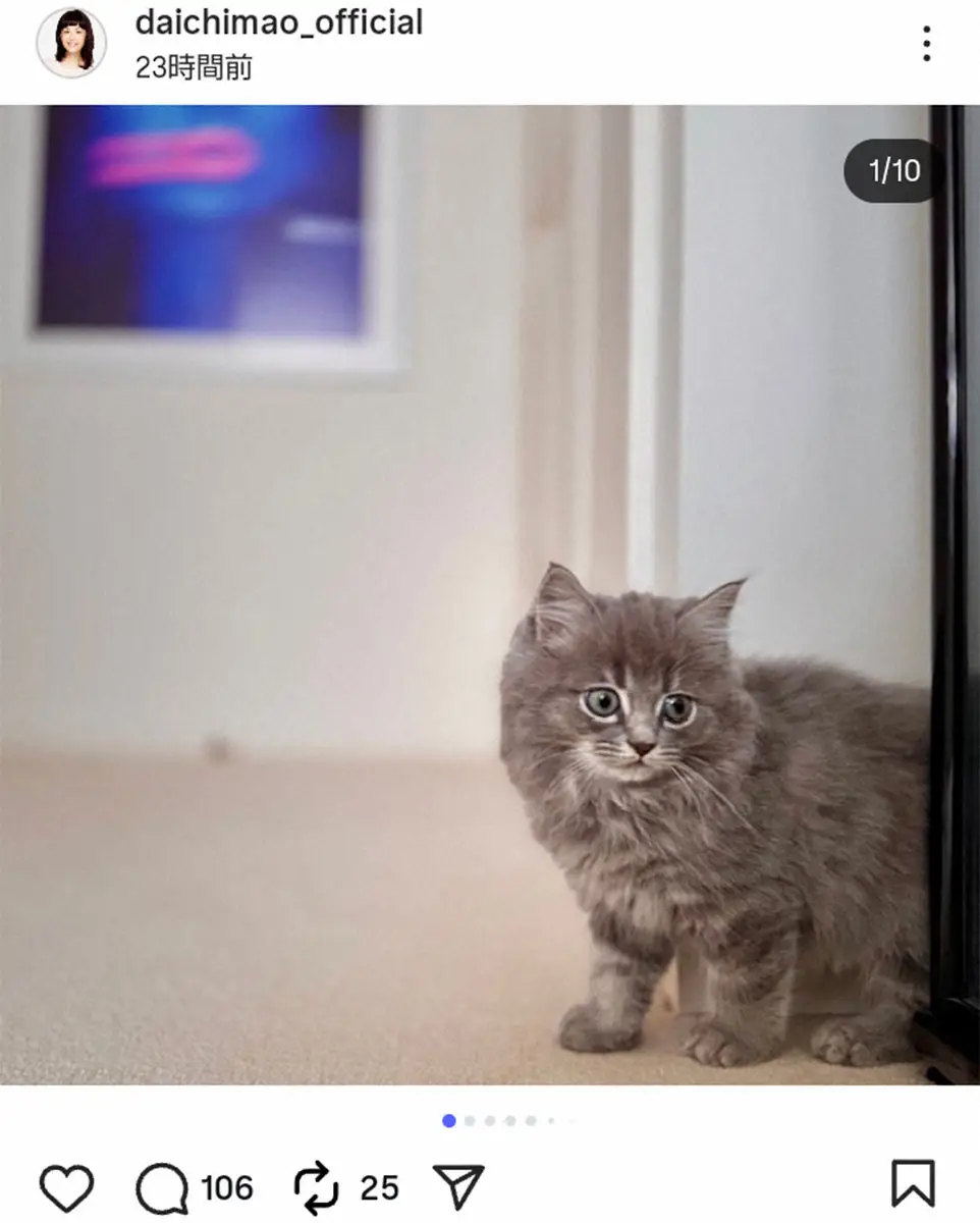 【画像・写真】大地真央「家族が増えました」宝塚トップコンビの黒木瞳から猫を譲り受けたと報告