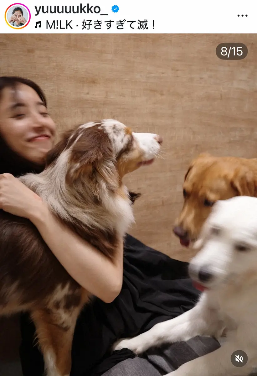 【画像・写真】新木優子　「わんこ達にもみくちゃに」幸せショットに反響「犬になりたい」「可愛すぎて滅！」