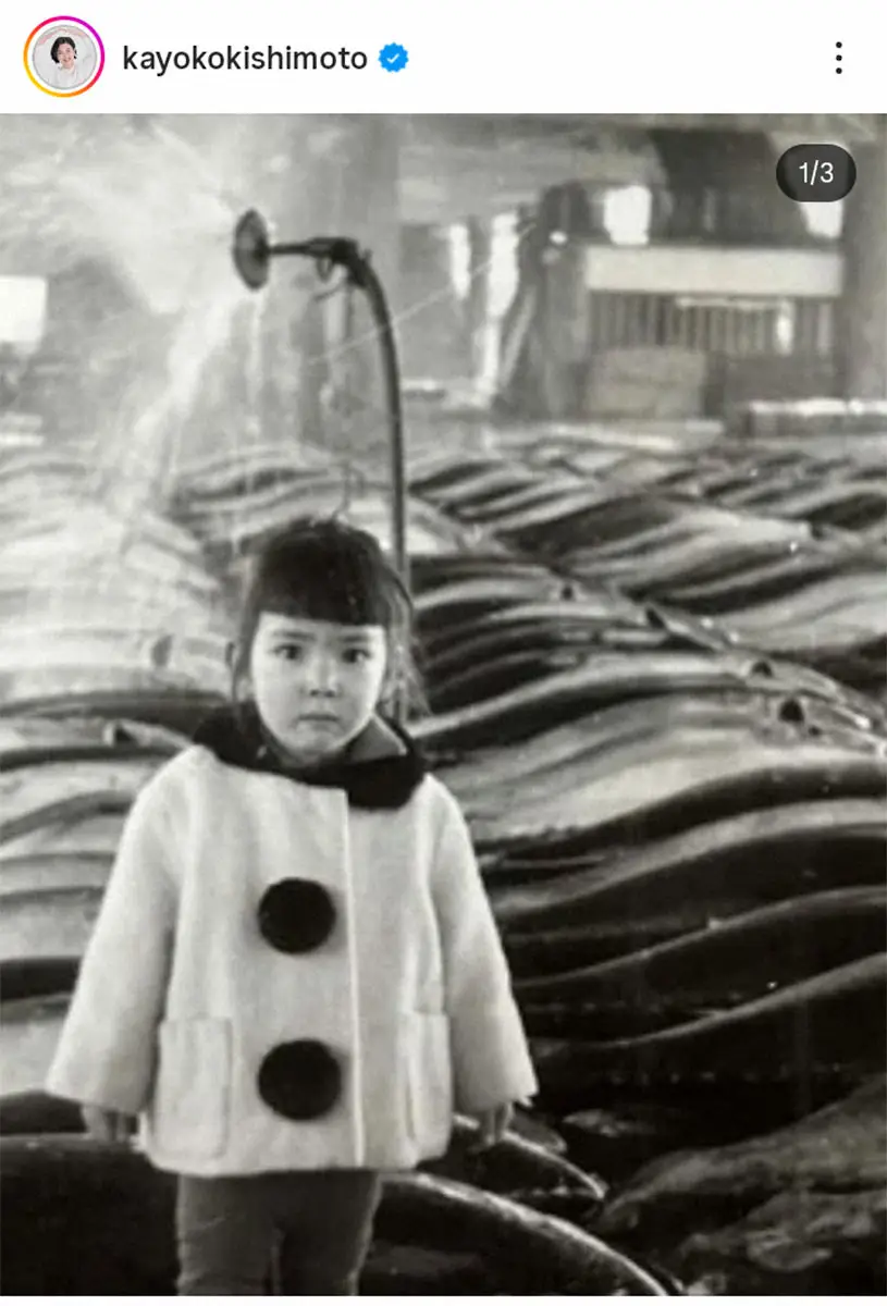 【画像・写真】岸本加世子インスタグラム（＠kayokokishimoto）から